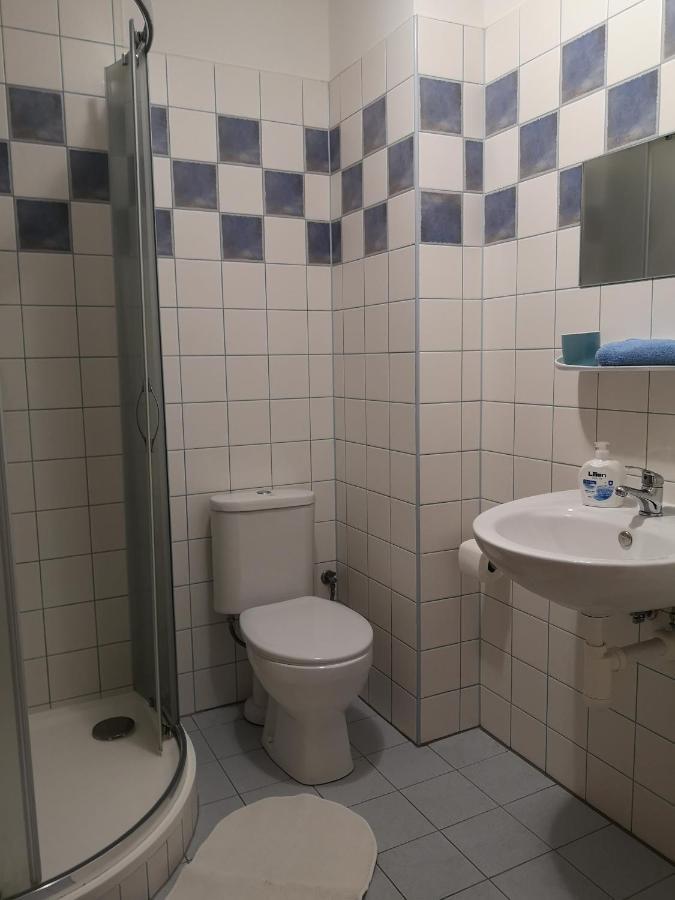 Penzion U Nasich Mladé Buky Buitenkant foto