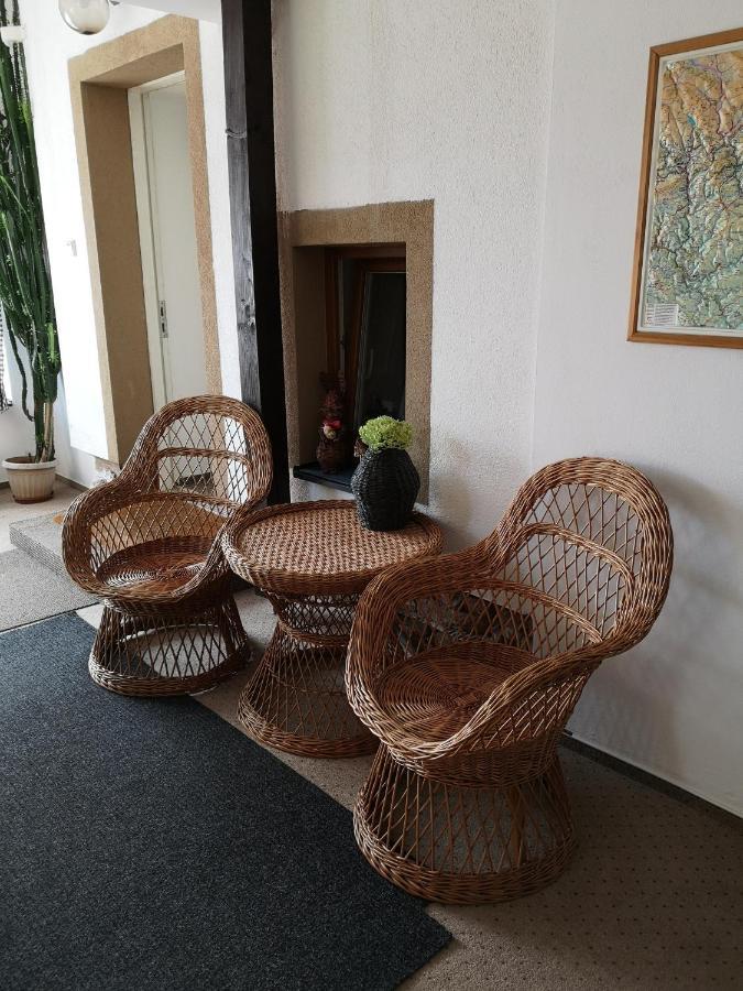Penzion U Nasich Mladé Buky Buitenkant foto