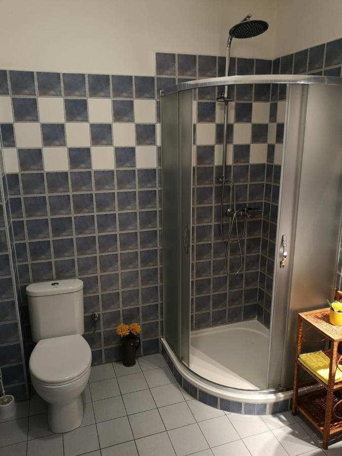 Penzion U Nasich Mladé Buky Buitenkant foto