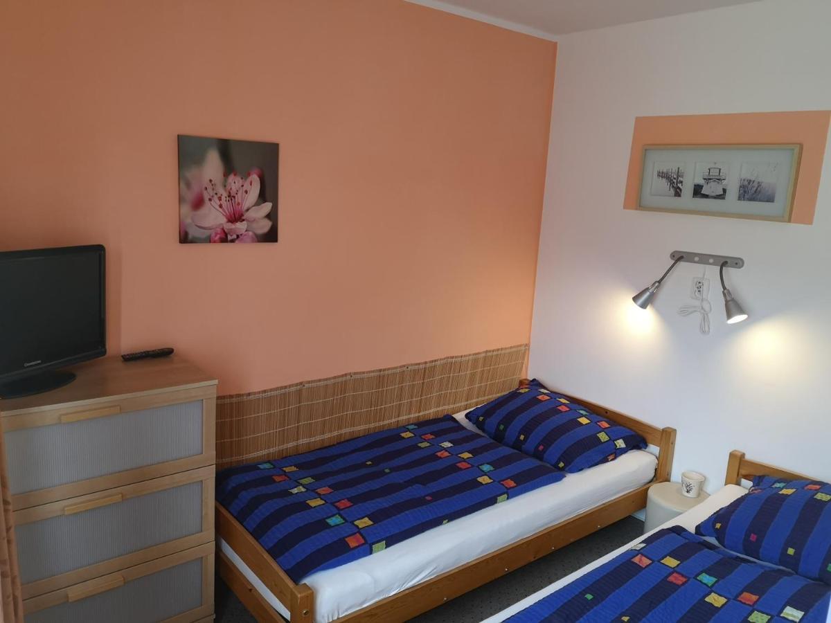 Penzion U Nasich Mladé Buky Buitenkant foto