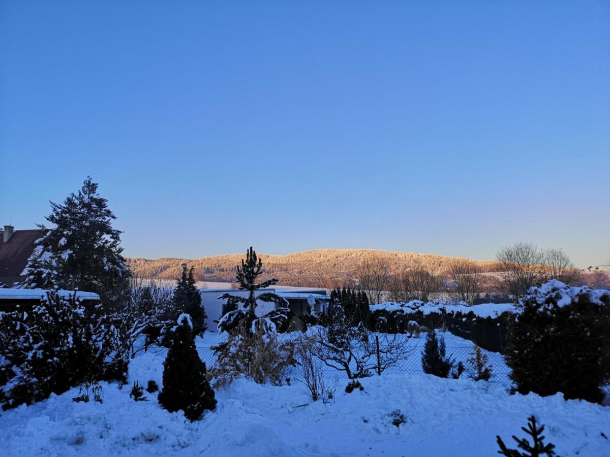 Penzion U Nasich Mladé Buky Buitenkant foto