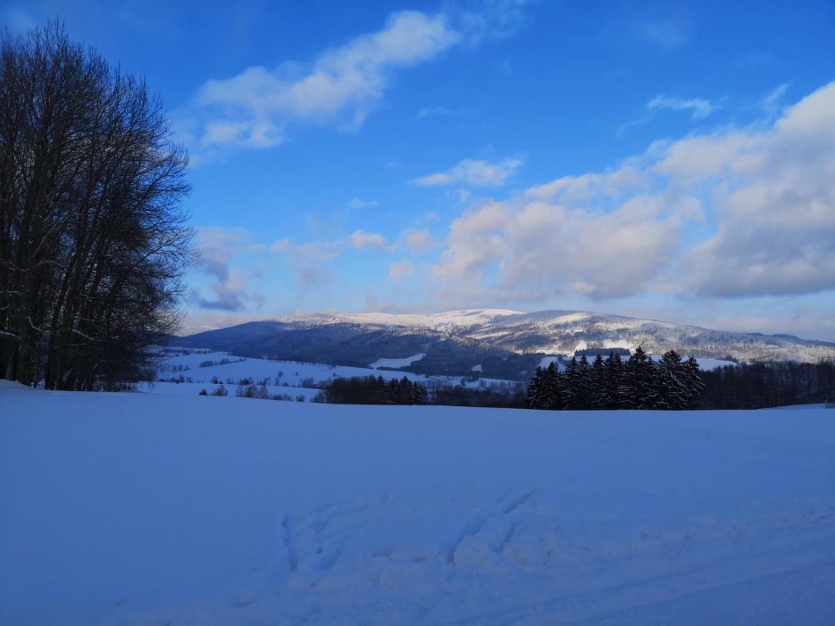 Penzion U Nasich Mladé Buky Buitenkant foto