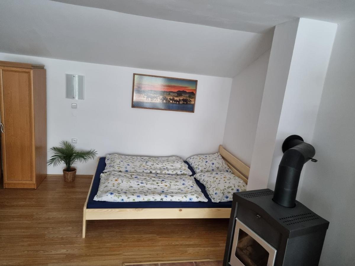 Penzion U Nasich Mladé Buky Buitenkant foto