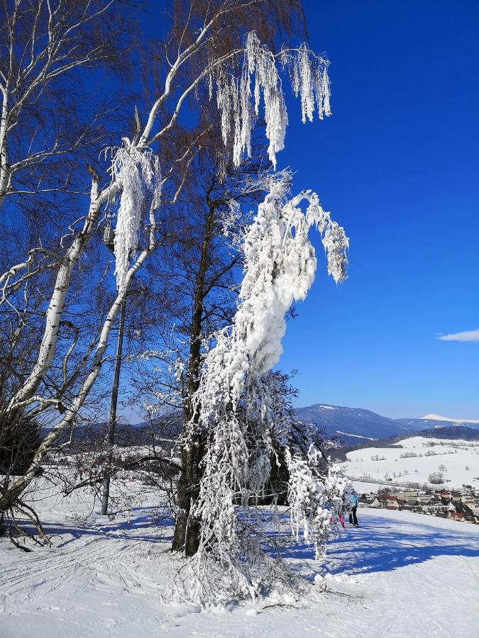 Penzion U Nasich Mladé Buky Buitenkant foto