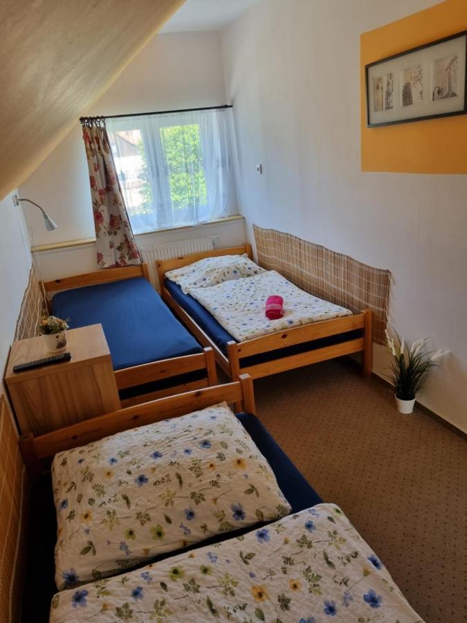 Penzion U Nasich Mladé Buky Buitenkant foto